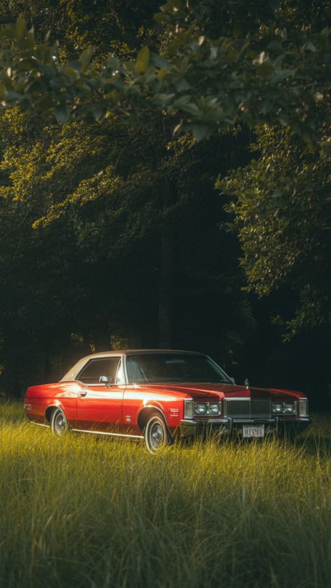 A red vintage car in a sunlit forest, the sample used in the current app screenshots
